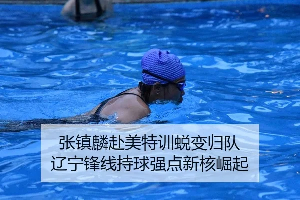 张镇麟赴美特训蜕变归队 辽宁锋线持球强点新核崛起